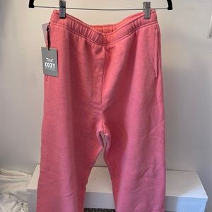 Aritzia TNA Cozy Mega Sweatpants
